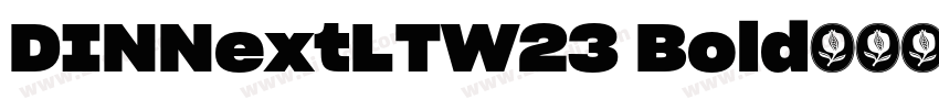 DINNextLTW23 Bold字体转换